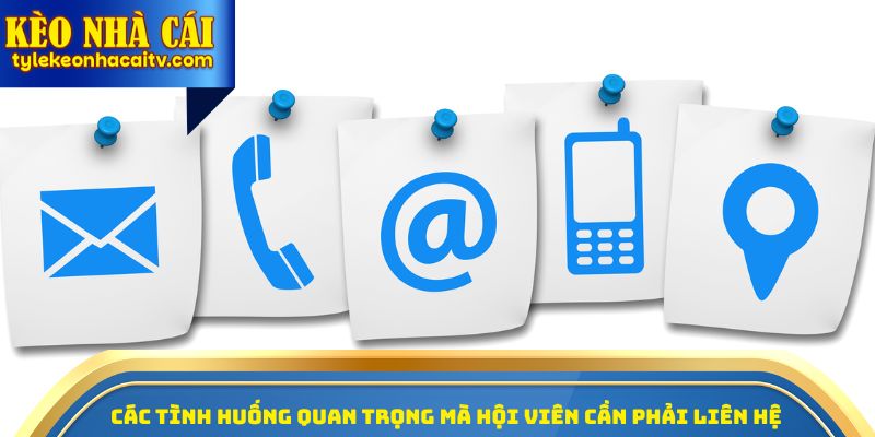 Các tình huống quan trọng mà hội viên cần phải liên hệ