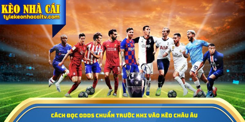 Cách đọc odds chuẩn trước khi vào kèo châu Âu