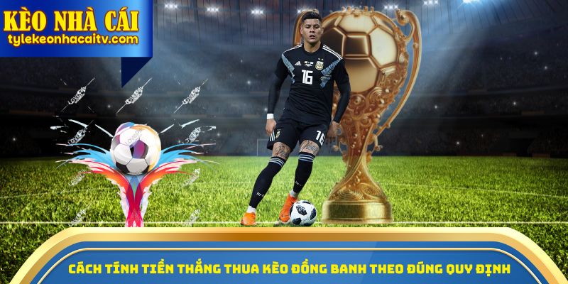 Cách tính tiền thắng thua kèo đồng banh theo đúng quy định