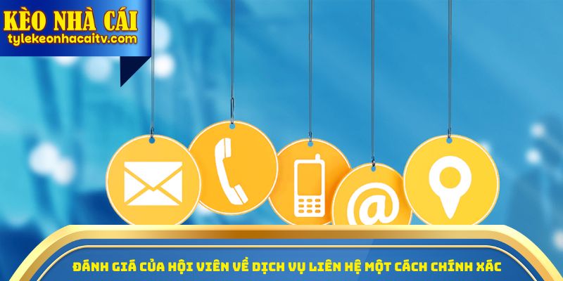 Đánh giá của hội viên về dịch vụ liên hệ một cách chính xác