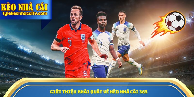 Giới thiệu khái quát về kèo nhà cái 365