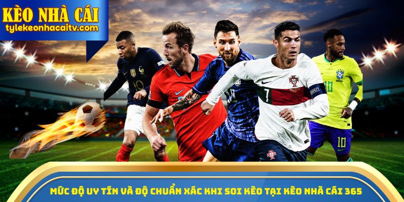 Mức độ uy tín và độ chuẩn xác khi soi kèo tại kèo nhà cái 365