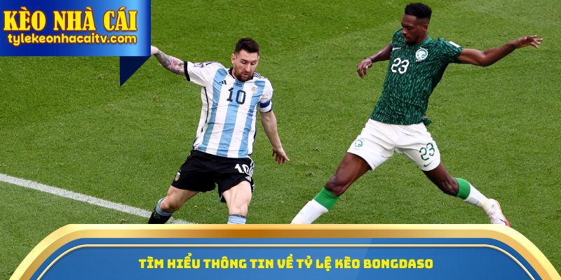 Tìm hiểu thông tin về tỷ lệ kèo bongdaso