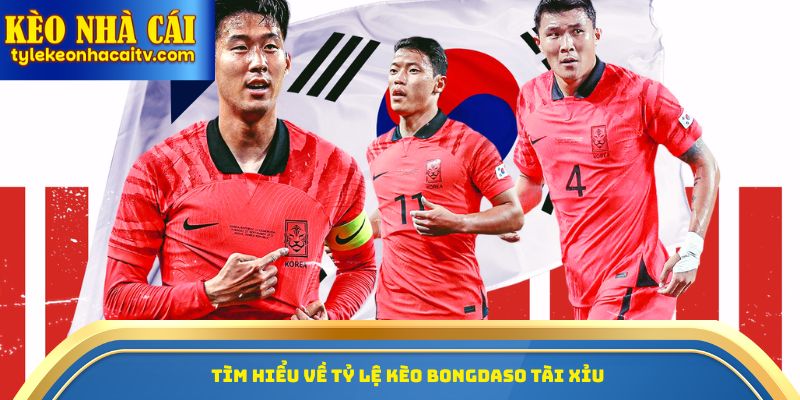 Tìm hiểu về tỷ lệ kèo bongdaso Tài Xỉu