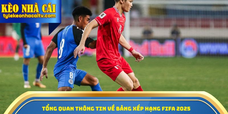 Tổng quan thông tin về bảng xếp hạng FIFA 2025