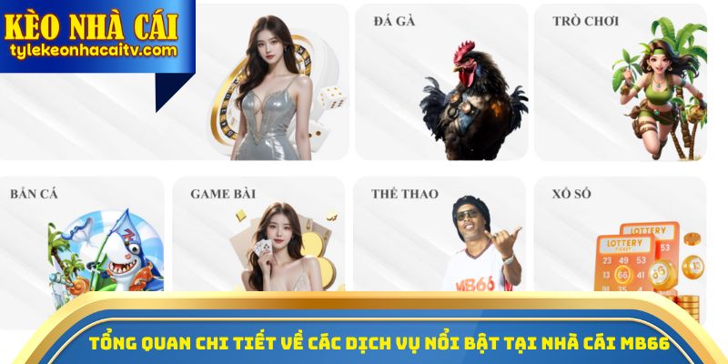Tổng quan chi tiết về các dịch vụ nổi bật tại nhà cái MB66