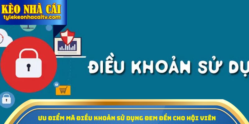 Ưu điểm mà điều khoản sử dụng đem đến cho hội viên