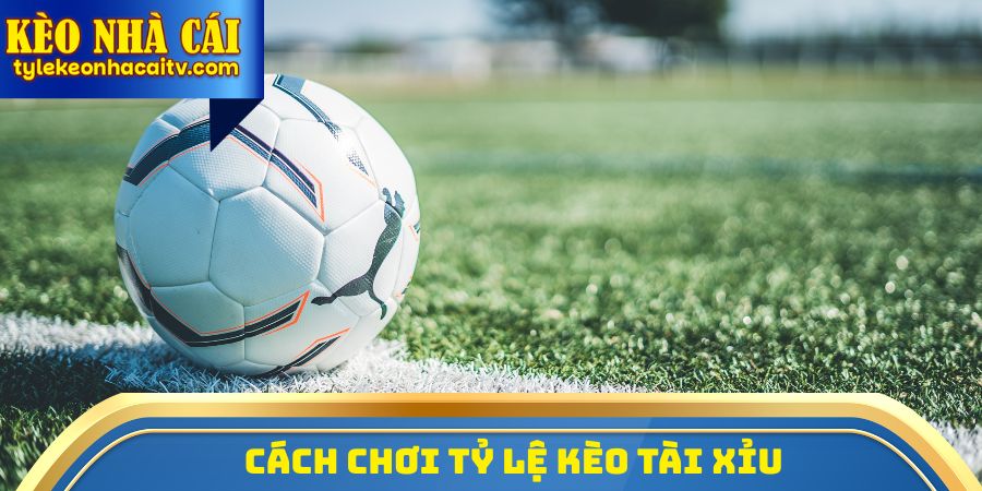 Cách chơi tỷ lệ kèo Tài xỉu