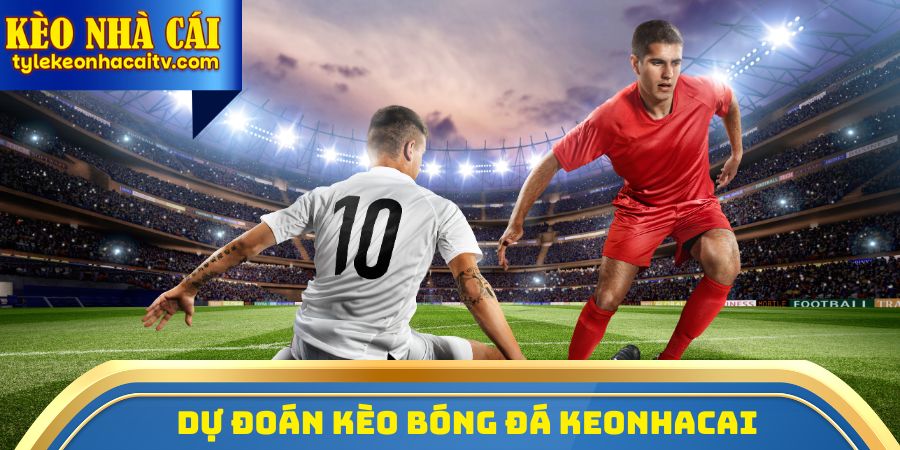 Dự Đoán Kèo Bóng Đá