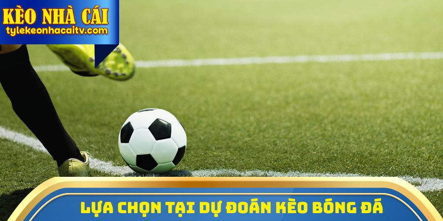 Lựa chọn tại dự đoán kèo bóng đá