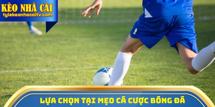 Lựa chọn tại mẹo cá cược bóng đá