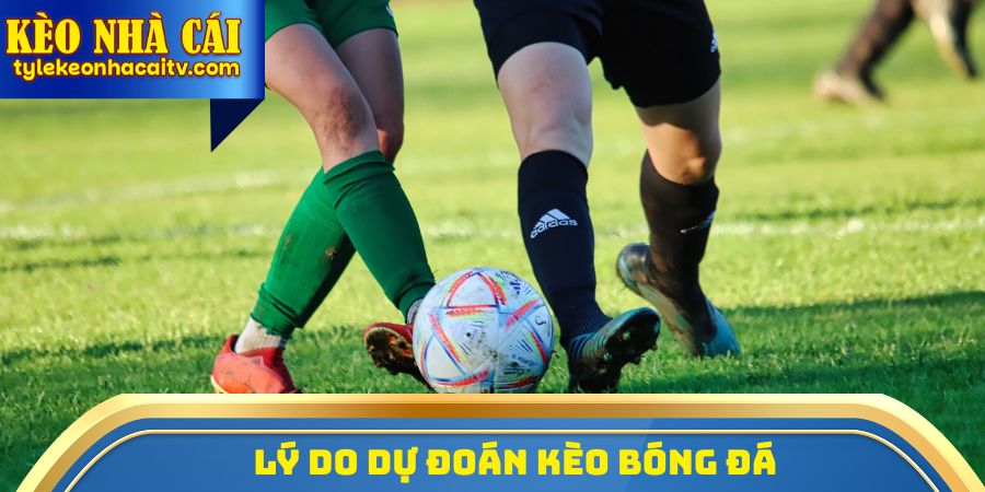 Lý do dự đoán kèo bóng đá