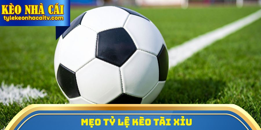 Mẹo tỷ lệ kèo Tài xỉu