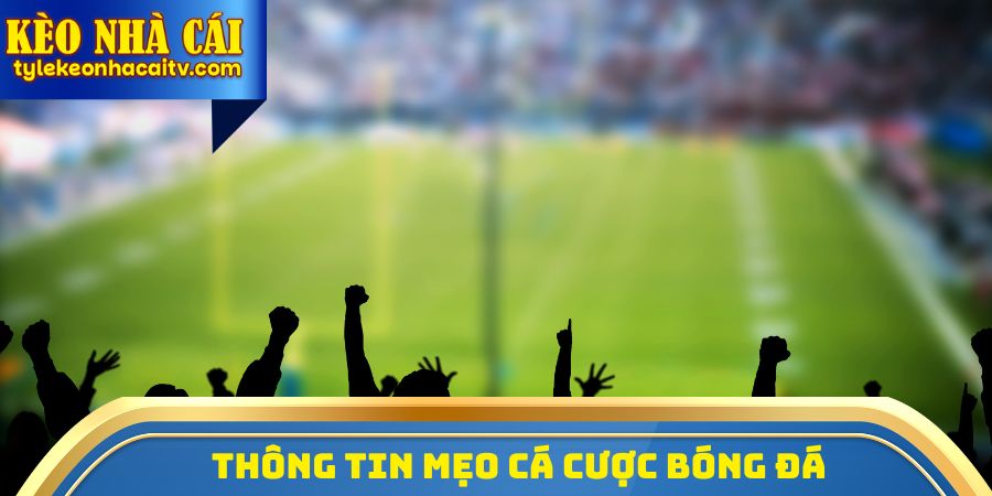Thông tin mẹo cá cược bóng đá
