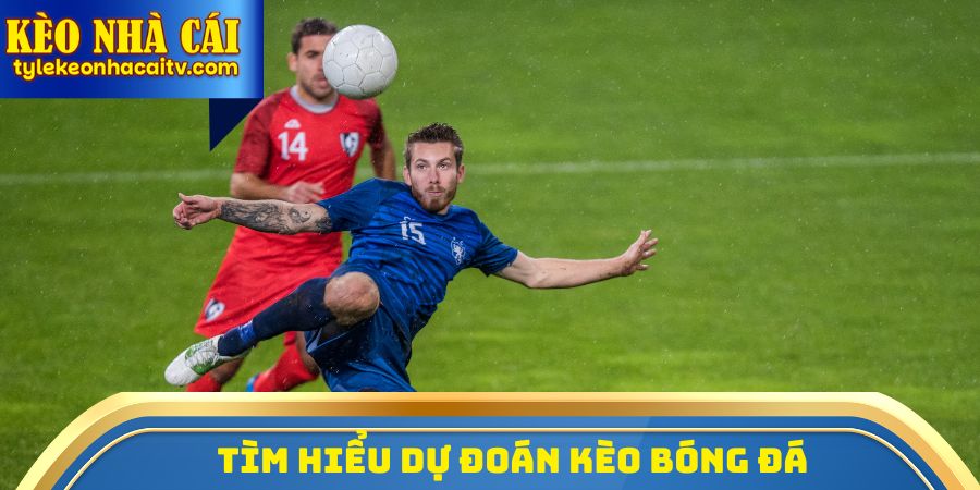 Tìm hiểu dự đoán kèo bóng đá