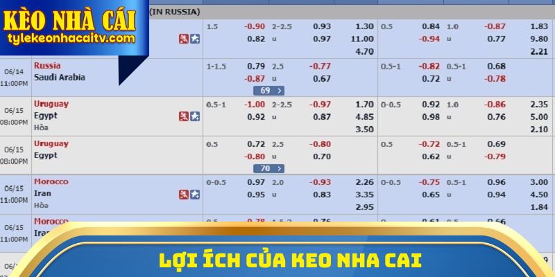 Lợi ích của Keo Nha Cai