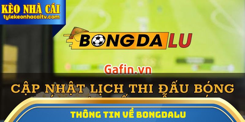 Thông tin về Bongdalu